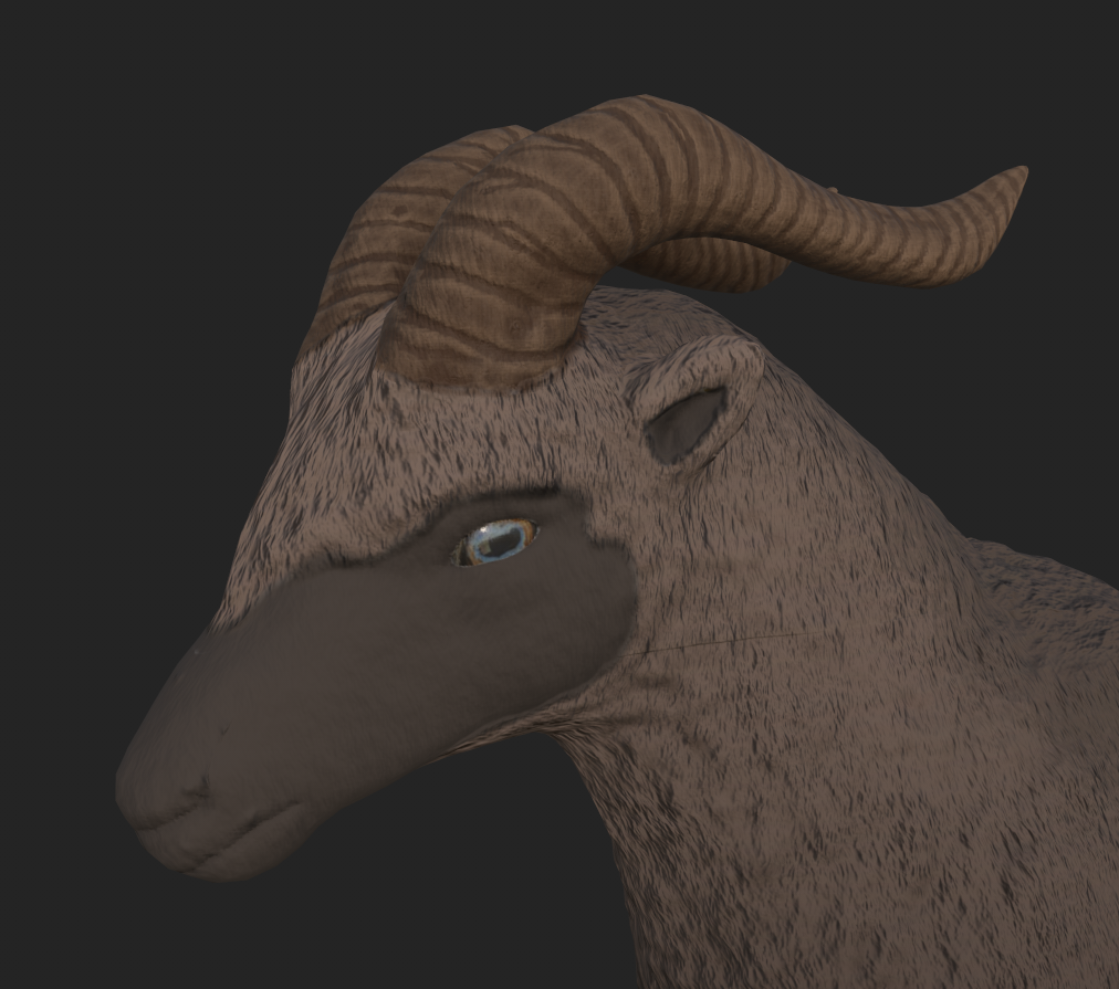 The final gaquk model with textures. Closeup of head