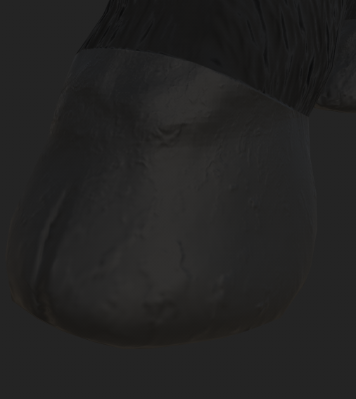 Gaquk with final hoof texture